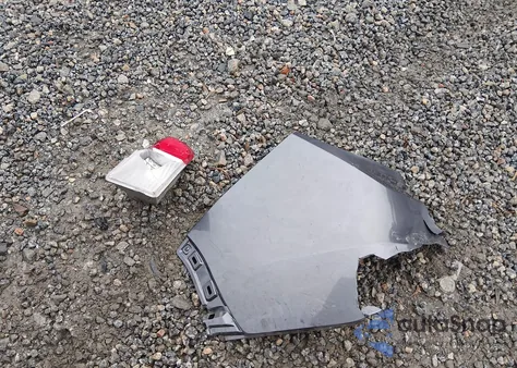 2020 Honda Passport 2Wd Ex-L z USA, uszkodzony, nr VIN 5FNYF7H5XLB000426